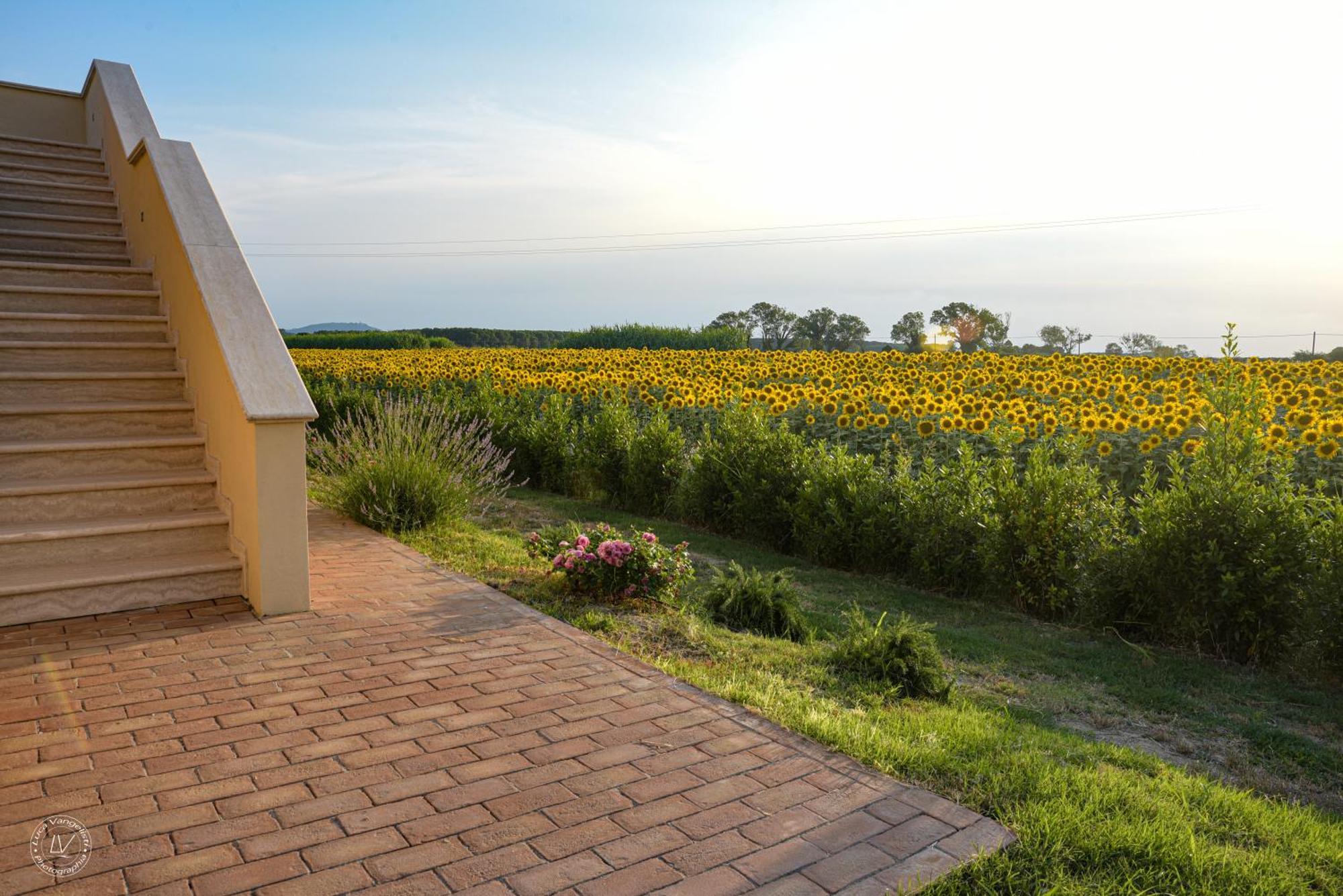 Agriturismo Villa Toscana กัมปีลยา มาริตติมา ภายนอก รูปภาพ