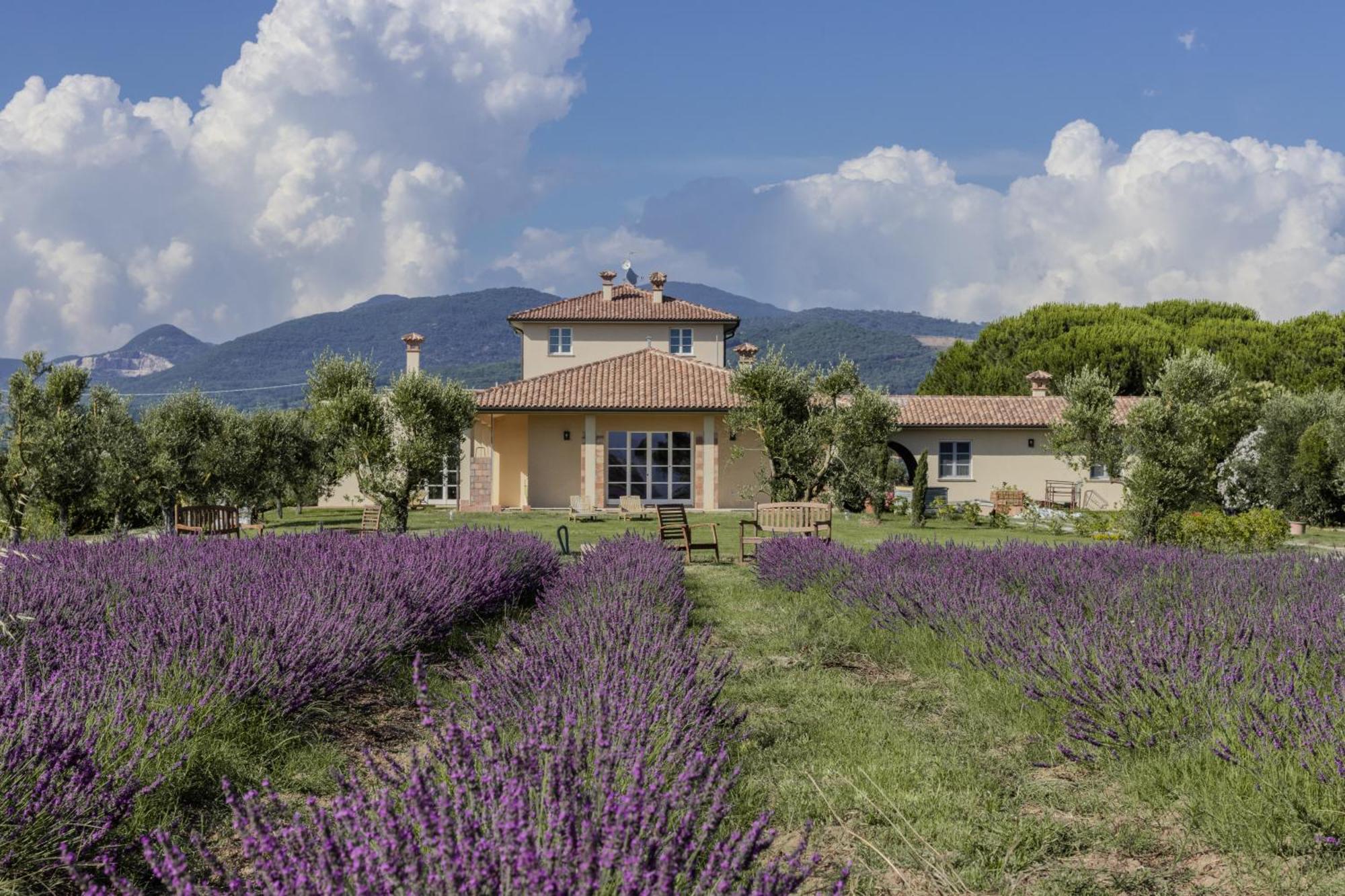 Agriturismo Villa Toscana กัมปีลยา มาริตติมา ภายนอก รูปภาพ